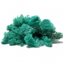 Secret Live Moss Sky Blue - Live Moss 5g portion